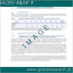 グローバルリサーチ調査レポートのイメージ